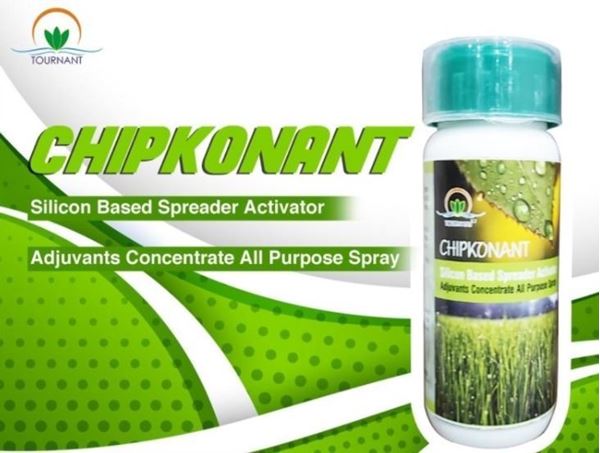 Picture of AGRICULTURE CHIPKONANT