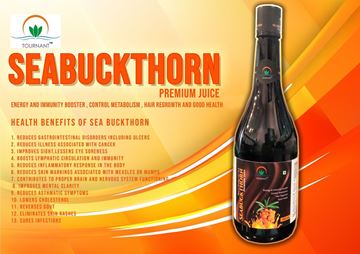 Picture of SEA BUCKTHORN 1000ML